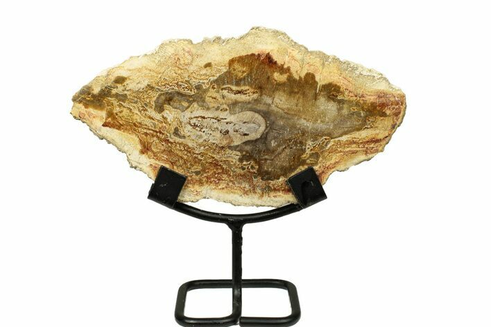 Petrified Wood (Tropical Hardwood) Slab with Stand - Indonesia #271145